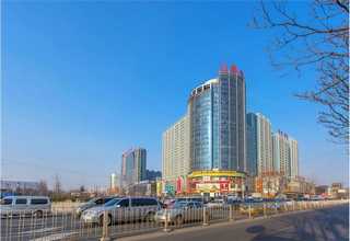 河北手动球阀生产厂家